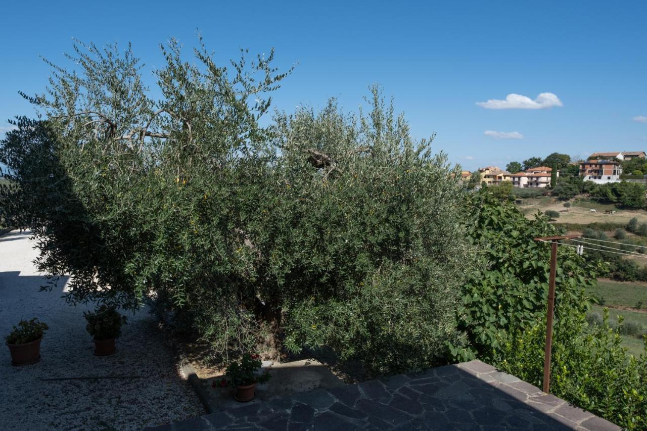 Apartmán La Casa Di Sara Città della Pieve Exteriér fotografie